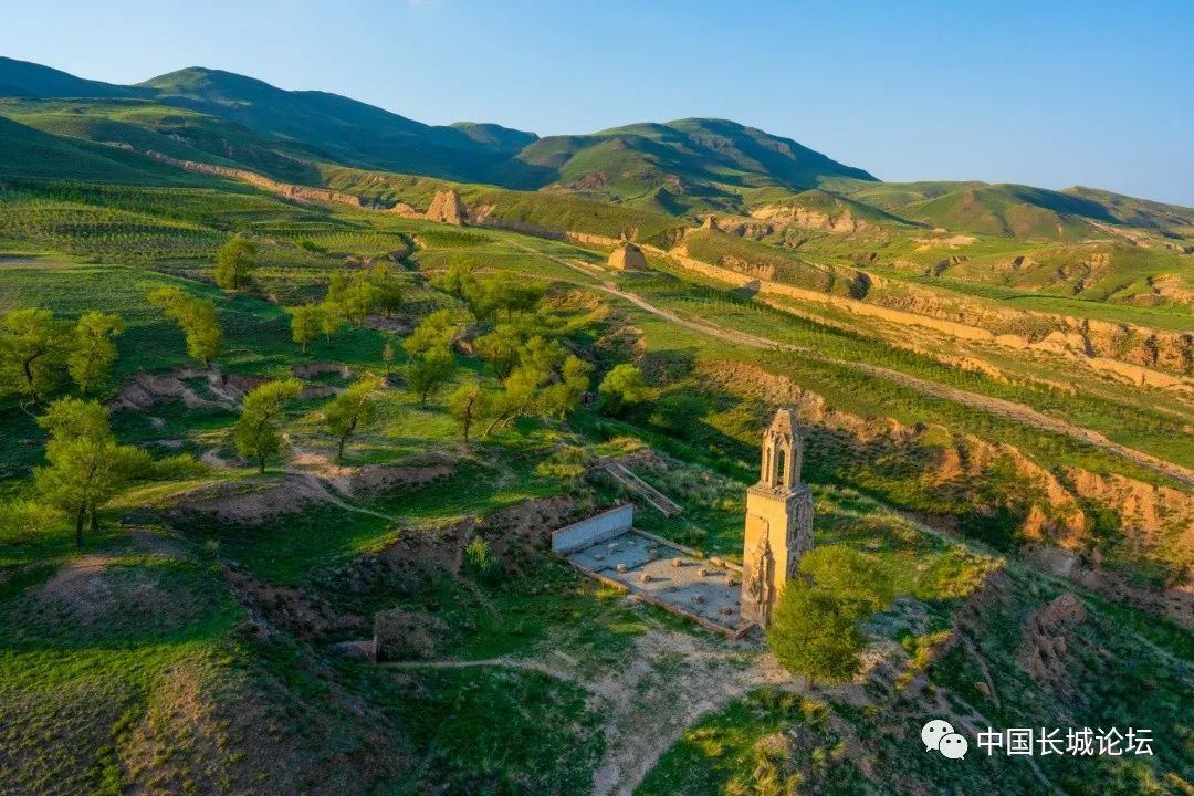 1678155345721399.jpg 10.jpg