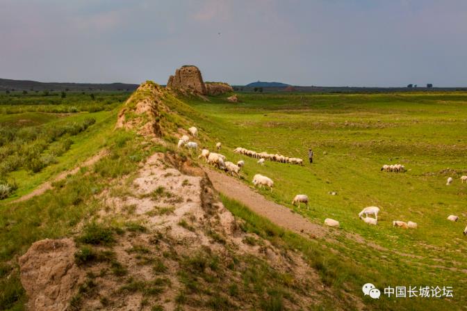 1678155358175664.jpg 11.jpg